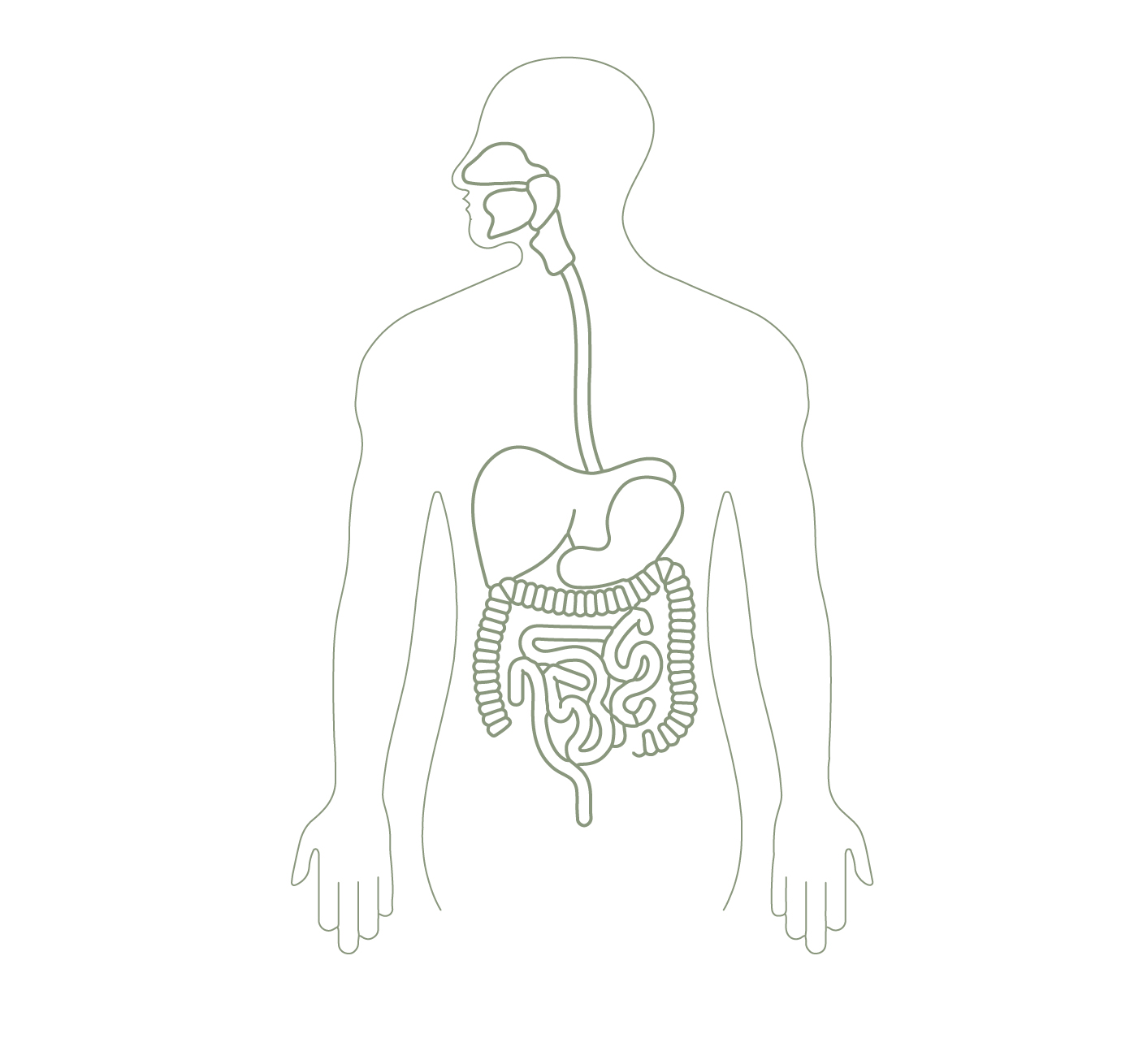 Gastroenterologie@2x-100